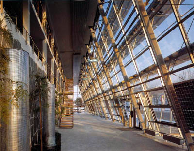 bergermann architektur grafik